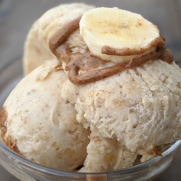 High protein ice cream recipe