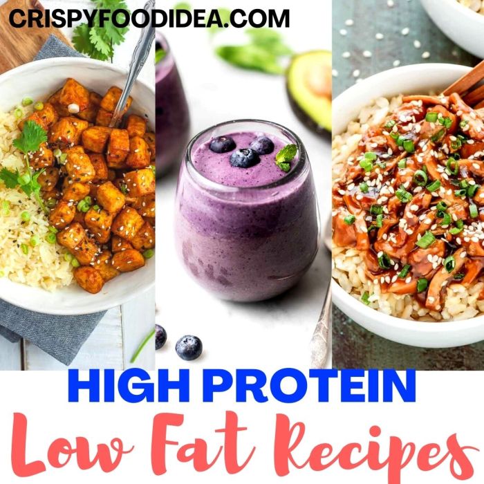 Lean macros proteins fats hit trifectanutrition recipes