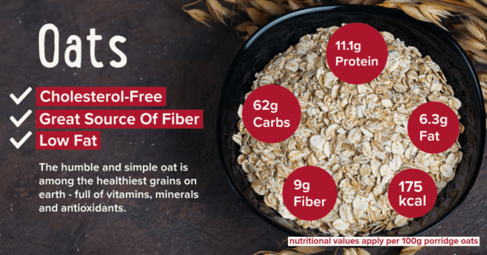 Protein in 100g oats