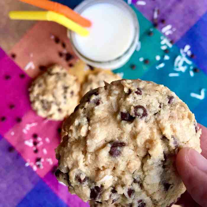 Coconut yoghurt cookies