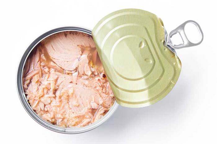 Tuna protein