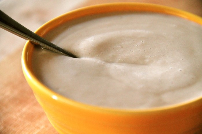 Vanilla protein pudding recipe