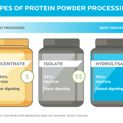 Protein powder usage