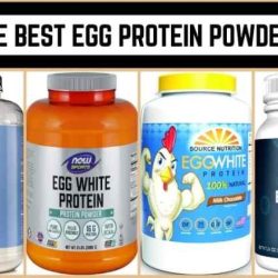 Egg protein powder recipes