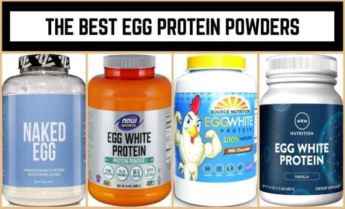 Egg protein powder recipes