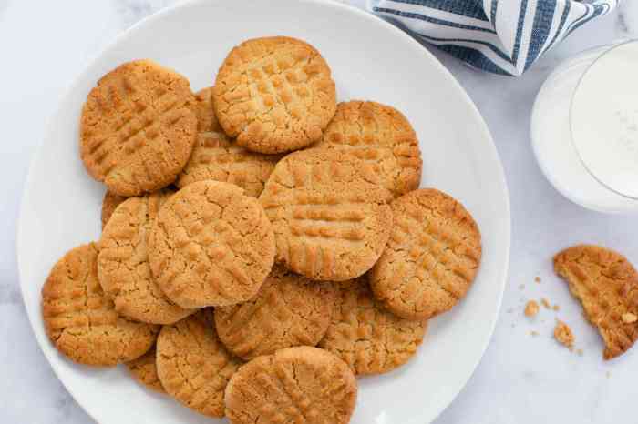 Protein peanut butter cookies recipe