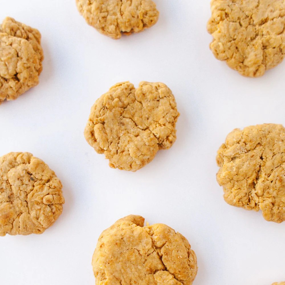 Protein peanut butter cookies recipe