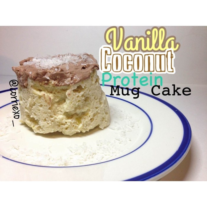 Vanilla protein mug cake