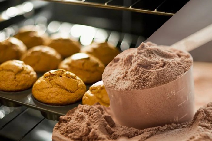 Protein powder baking recipes