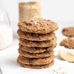 Steel cut oats cookie recipe healthy