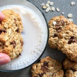 Are protein cookies good for weight loss