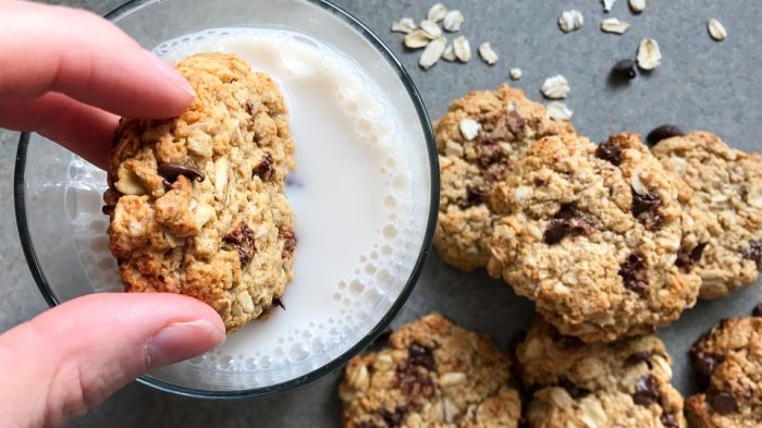 Are protein cookies good for weight loss