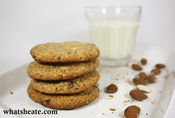 Are protein cookies good for weight loss