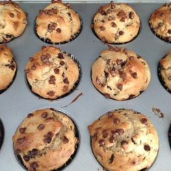 Protein powder muffins