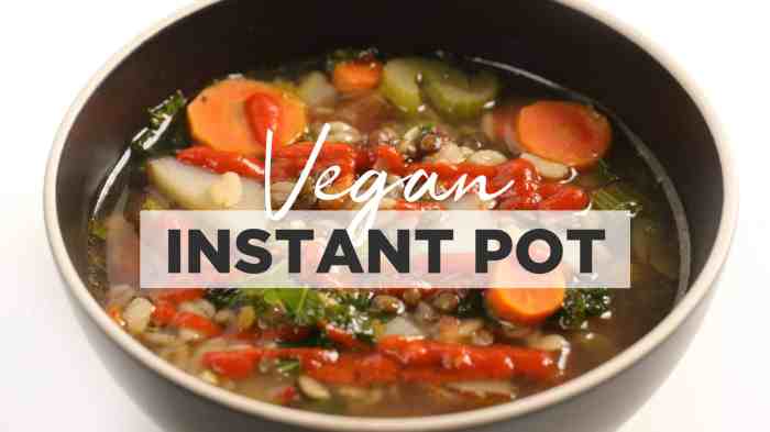 Instant pot vegan soup recipes