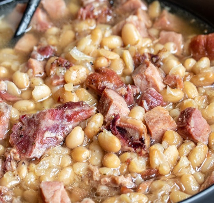 Instant pot recipes navy beans