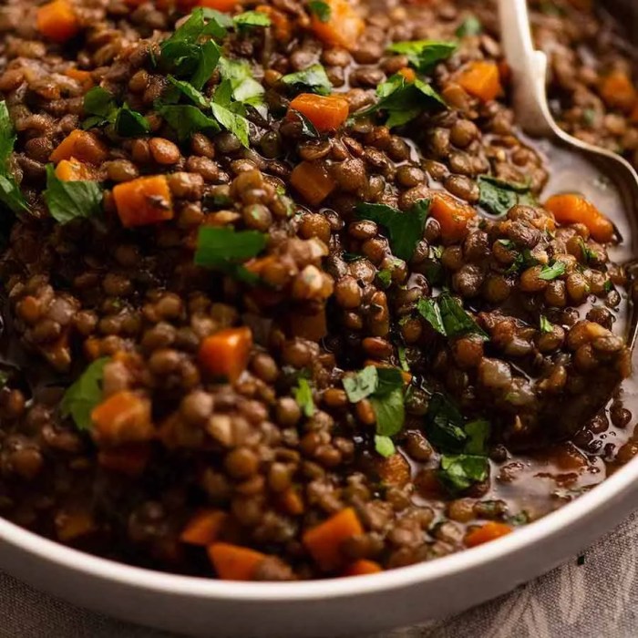 Ninja foodi lentil recipes